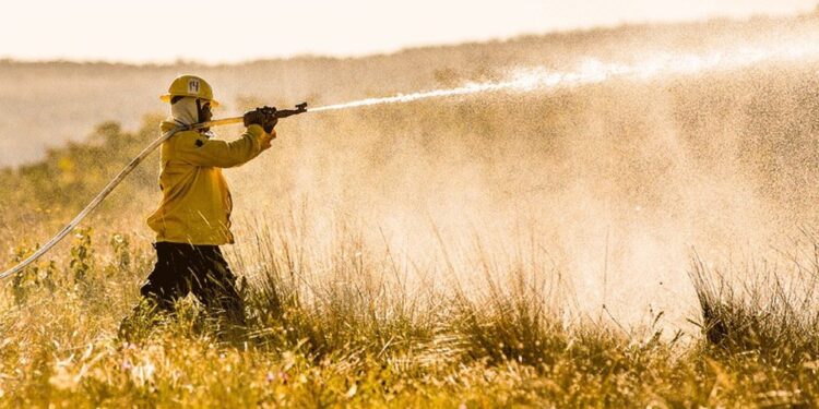 Processo seletivo ICMBio 2021: editais e inscrições; 224 vagas
