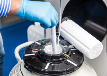 Implantação de embriões congelados em viúva exige autorização expressa do falecido, decide Quarta Turma