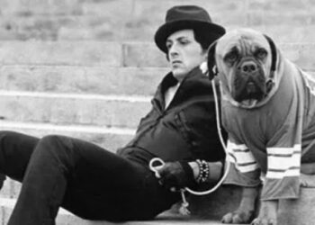 Lições de Rocky Balboa