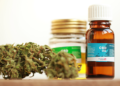 Comissão da Câmara aprova projeto que autoriza plantio de Cannabis