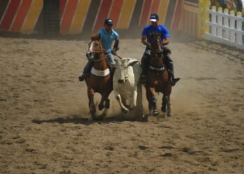 Comissão do Esporte promove debate sobre a vaquejada