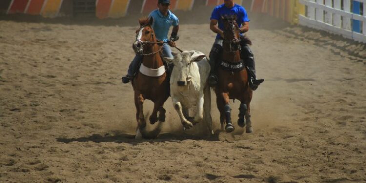 Comissão do Esporte promove debate sobre a vaquejada