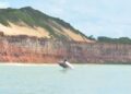 MPF cobra proteção dos golfinhos que habitam reserva ambiental localizada em Pipa