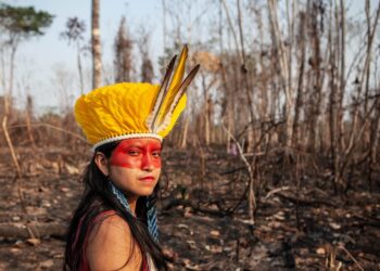 MPF cobra medidas contra queimadas ilegais realizadas próximo a comunidade indígena