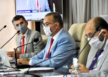 Compra de EPIs é discutida em reunião da CPI da Covid na ALRN