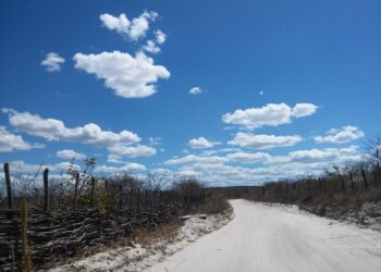 Em ação do MPRN, Justiça homologa acordo para Idema recuperar 490 hectares de mata nativa