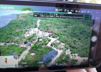 Operação Mata Atlântica em Pé é lançada em 17 estados