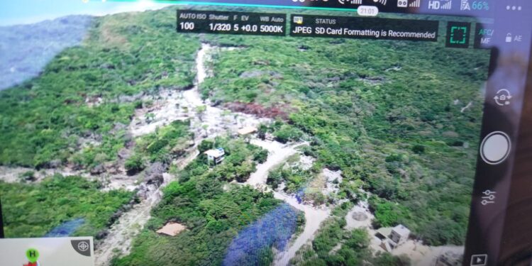 Operação Mata Atlântica em Pé é lançada em 17 estados