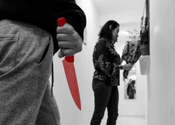 PSB questiona supressão de indicadores de feminicídios e letalidade policial do Plano Nacional de Segurança Pública