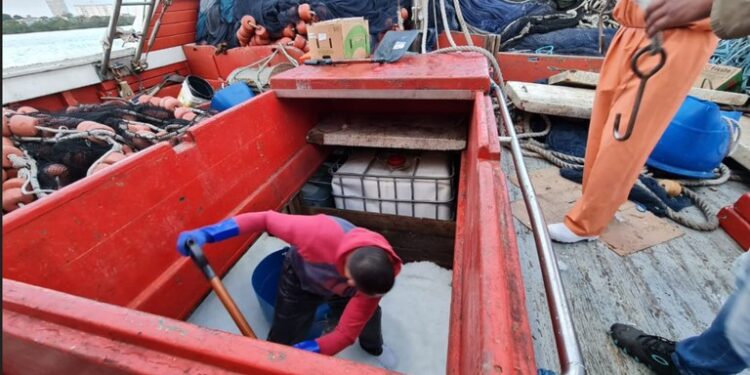 Polícia Federal desarticula grupo criminoso que exportava cocaína por meio de barcos pesqueiros