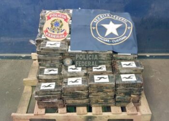 265 kg de cocaína são apreendidos em carga no Porto de Natal