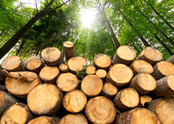 Indenização e multa não se confundem na aplicação de sanções por infrações civis ambientais, define Segunda Turma do STJ