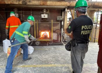 2,6 toneladas de drogas apreendidas pela Polícia Federal no RN são incineradas