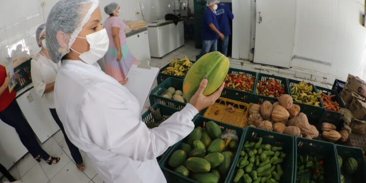 Prefeitura de Natal reestrutura banco de alimentos e busca novos parceiros para ampliar iniciativa