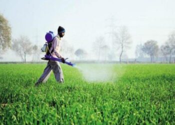 Maioria da bancada dos deputados federais do RN aprova projeto polêmico que libera registros de agrotóxicos