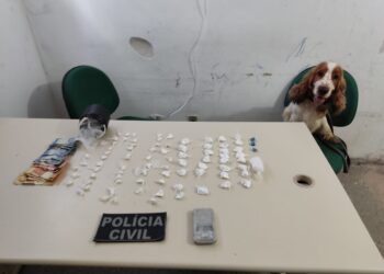 Com apoio de cão policial, suspeito por roubos e tráfico de drogas  é preso pela Polícia Civil em Caicó