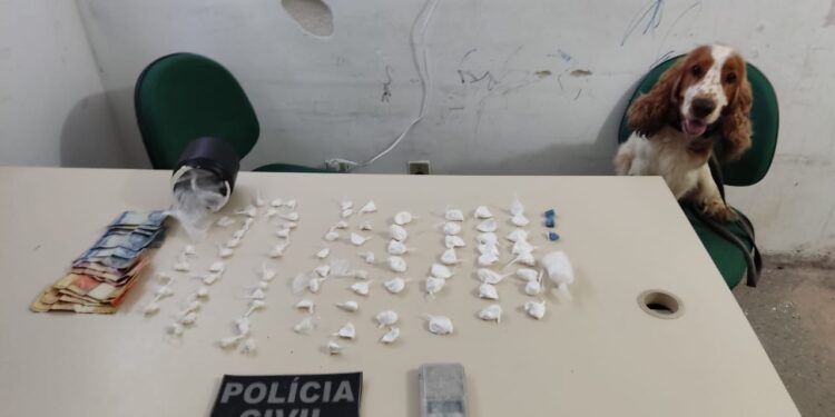 Com apoio de cão policial, suspeito por roubos e tráfico de drogas é preso pela Polícia Civil em Caicó