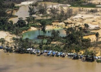 Maioria da bancada do RN vota pela aprovação do regime de urgência do projeto que autoriza mineração em terras indígenas