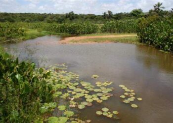 Justiça determina que Idema apresente mapeamento do rio Pitimbu