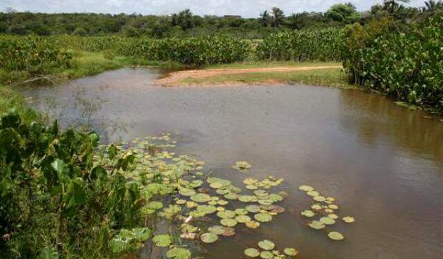 Justiça determina que Idema apresente mapeamento do rio Pitimbu