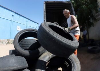 Prefeitura realiza atividades de prevenção e combate ao mosquito Aedes aegypti em Natal