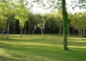 Partidos questionam lei que autoriza municípios a definirem áreas de prevenção permanentes em zonas urbanas