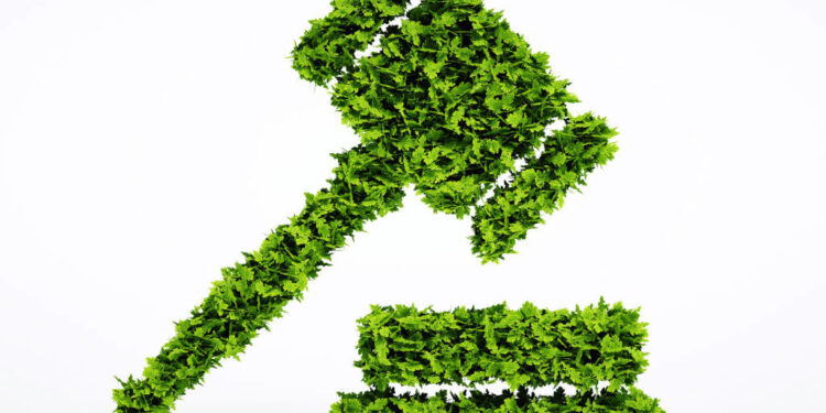 STF derruba decretos presidenciais e restabelece participação da sociedade civil em órgãos ambientais