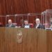Efeitos dos cancelamentos de títulos decorrentes de revisão do eleitorado são suspensos pelo TSE