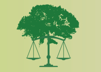 STF decide que é inconstitucional concessão de licença ambiental pelo método simplificado