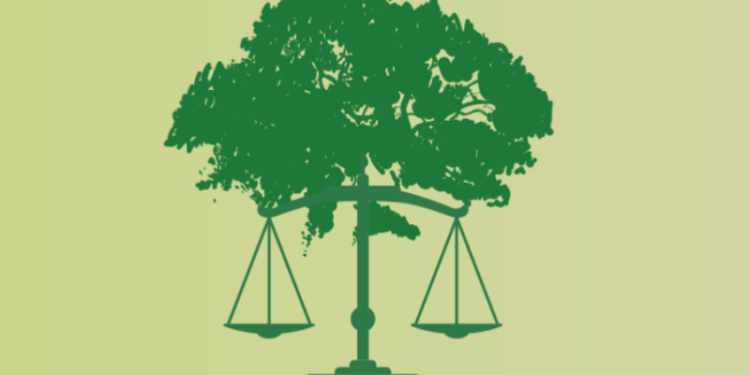 STF decide que é inconstitucional concessão de licença ambiental pelo método simplificado