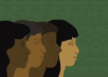 PDT pede ao STF que garanta a continuidade da política de cotas