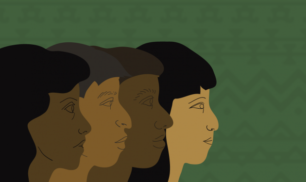 PDT pede ao STF que garanta a continuidade da política de cotas