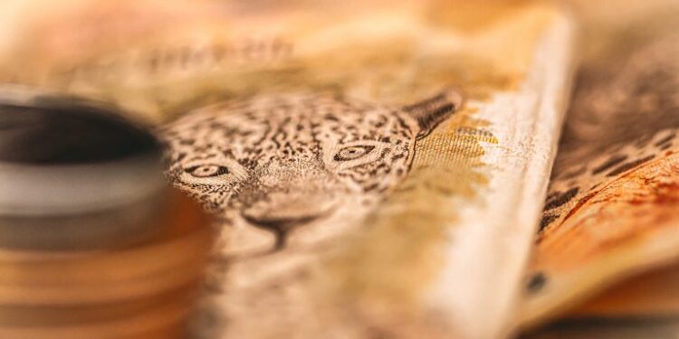 Medida provisória limita reajuste das taxas de ocupação dos terrenos da União