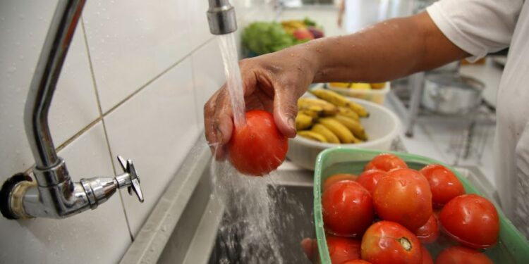 Senac RN reúne técnicos de todo o país em Formação de Consultores do Programa de Alimentos Seguros