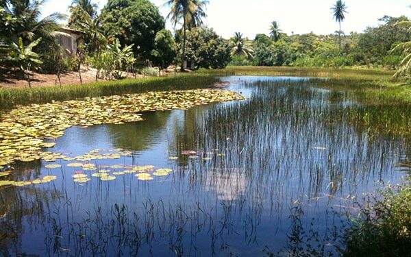 Câmara aprova regulamentação da ZPA 9 localizada na zona Norte