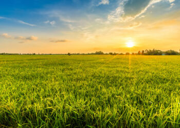 É admissível a partilha de direitos possessórios sobre imóveis que não estão devidamente escriturados