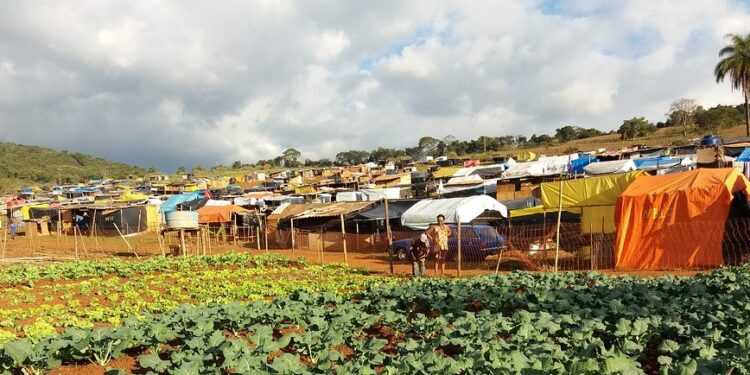 Ação que reivindica terra ocupada por grande número de pessoas exige ampla publicidade