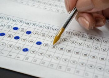 Concursos públicos: veja 24 órgãos que abrem inscrições de 5 a 9 de setembro