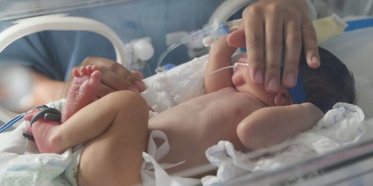 STF confirma licença-maternidade a partir da alta hospitalar da mãe ou do bebê