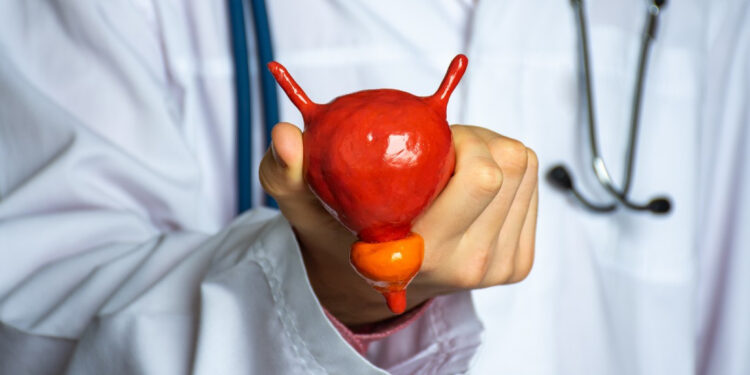 Justiça determina que poder público custeie tratamento de criança portadora de bexiga neurogênica