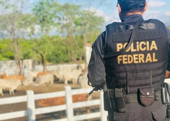 Com mandados cumpridos no RN, operação da Polícia Federal mira contrabando de cigarros