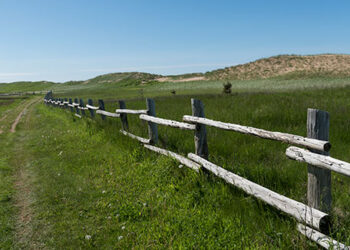 Ação demarcatória é cabível para resolver divergência sobre divisas de imóvel