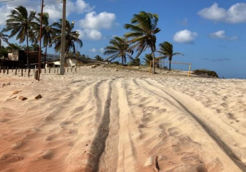 MPF cobra rigor para que veículos não transitem na beira-mar das praias de Tibau do Sul