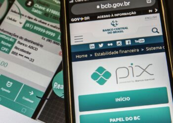 Pix consolida-se como meio de pagamento mais usado no país