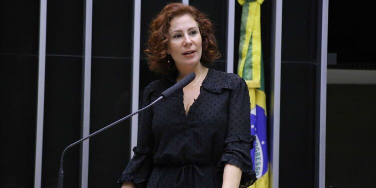 STF suspende porte de arma da deputada Carla Zambelli