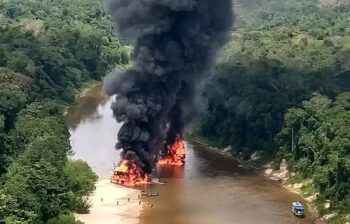 Lei de Roraima que proibia destruição de bens apreendidos em operações ambientais é derrubada pelo STF