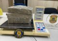 PF apreende aproximadamente 5 kg de drogas