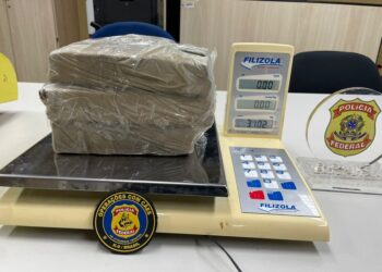 PF apreende aproximadamente 5 kg de drogas