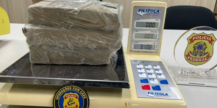 PF apreende aproximadamente 5 kg de drogas