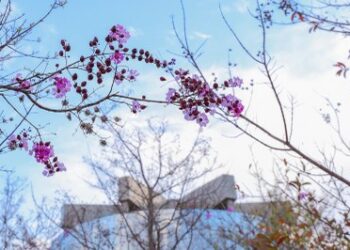 PGR pede ao Supremo prioridade no julgamento de caso que pode ampliar proteção de menores em casos de exploração sexual